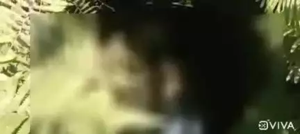 ईचागढ़: बरदाडीह गांव के कुएं से मिला युवक का शव, पुलिस जांच में जुटी
