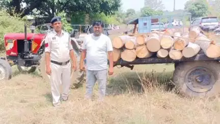 बतौली: बतौली में लकड़ी की अवैध तस्करी कर रहे यूपी के 2 तस्करों को पुलिस ने किया गिरफ्तार, वन विभाग को किया सुपुर्द