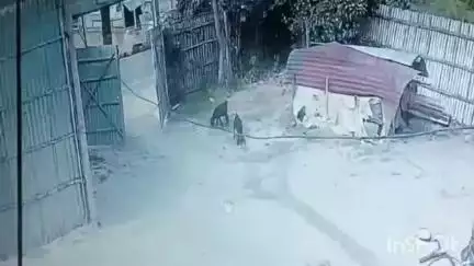 चौसा: चौसा थाना क्षेत्र में अज्ञात चोर ने बाइक की डिक्की तोड़कर उड़ाए ₹3 लाख, वारदात CCTV में कैद