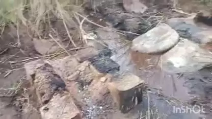 कलेर: कलेर प्रखंड के परासी थाना क्षेत्र स्थित सोन दियारा में ALTF की छापेमारी, अवैध शराब बरामद कर नष्ट की गई