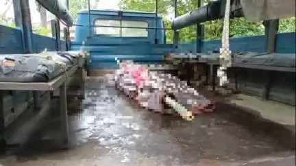 ঘগ্ৰাপাৰ ভাগ: বাঘমাৰাত মহিলাৰ মৃতদেহ উদ্ধাৰ, অঞ্চলজুৰি চাঞ্চল্য