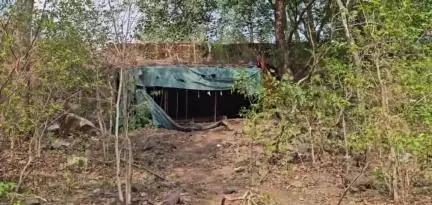 नवापूर: चरणमाळ घाटात भीषण अपघात ट्रक पलटी झाल्यानंतर २६ रेडकू ठार ; नवापूर पोलिसात अपघाताची नोंद