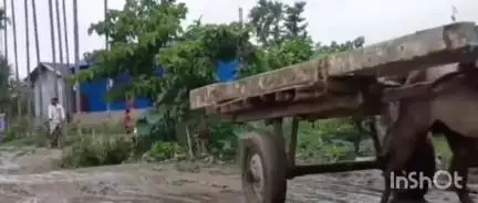 গৰৈমাৰী: সোণতলী-চেঙা সমষ্টিৰ ম'হচৰা সংযোগী সদাব্যস্ত পকী পথৰ পয়ালগা দৃশ্য,পথৰ ঠায়ে ঠায়ে সৃষ্টি হৈছে পুখুৰী সদৃশ গাঁত #jansamasya
