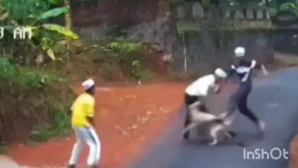 തിരൂര്‍: ആതവനാട് കുറുമ്പത്തൂരിൽ യതീംഖാനയ്ക്ക് സമീപം തെരുവുനായയുടെ ആക്രമണം, രണ്ടു വിദ്യാർത്ഥികൾക്ക് പരിക്ക്