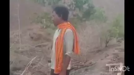 भीमपुर: ताप्ती वन परिक्षेत्र के ग्राम डोक्या जंगल में वन कर्मियों ने अवैध कटाई का निरीक्षण किया