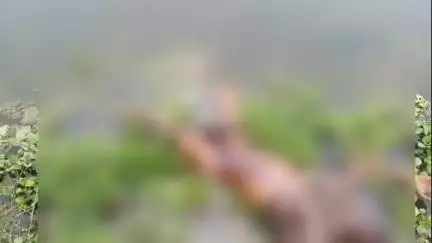 बेलछी: मसत्थु गांव में मुहाने नदी के किनारे मिला अज्ञात शव, इलाके में हड़कंप
