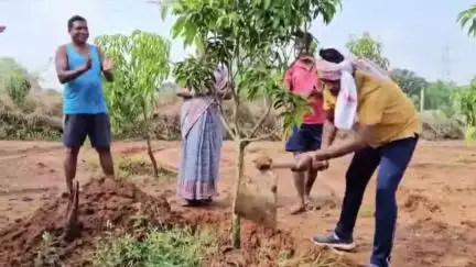 पाकरटांड: विधायक भूषण बाड़ा ने सोगड़ा पेठियारटोली में पौधारोपण कर प्रकृति संरक्षण का संदेश दिया