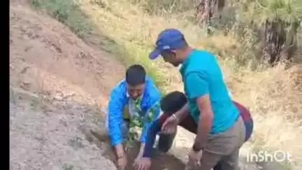 कोटगढ़: विर्गो संस्था द्वारा भराड़ा में वृक्षारोपण कार्यक्रम, कर्मचारी के जन्म दिवस पर किया गया आयोजन