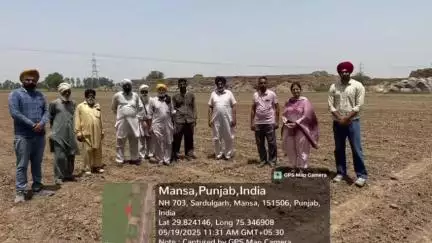 ਸਰਦੂਲਗੜ੍ਹ: ਮੁੱਖ ਖੇਤੀਬਾੜੀ ਅਫਸਰ ਮਾਨਸਾ ਵੱਲੋਂ ਮਾਨਸਾ ਜ਼ਿਲ੍ਹੇ ਦੇ ਪਿੰਡ ਖਿਆਲੀ ਚਹਿਲਾਂ ਵਾਲੀ ਵਿਖੇ ਨਰਮੇ ਦੀ ਫਸਲ ਦਾ ਕੀਤਾ ਸਰਵੇਖਣ