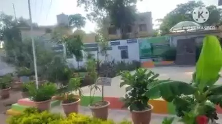 दुर्गुकोंदल: कोदापाखा के आयुर्वेद औषधालय में हर्बल गार्डन, प्रकृति और स्वास्थ्य का अनूठा संगम