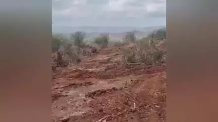शाहूवाडी: शाहूवाडी तालुक्यातील शिंपे गावात ३० एकर वनसंपदा बेकायदेशीरपणे नष्ट. नागरिकांची संबंधितांवर कारवाईची मागणी.