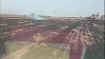 कैलारस: सपना ईंट उद्योग के बगल खेतो में लगी आग कैलारस फायरदल को मिली सूचना, फायरदल ने #मौके पर जाकर बुझाई आग हादसा टला