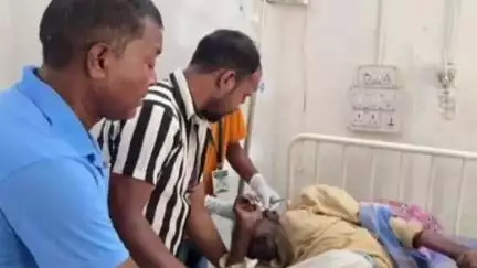 गोइलकेरा: महतो देवगांव में मधुमक्खियों के हमले से वृद्ध व्यक्ति की बिगड़ी तबियत, अस्पताल में भर्ती
