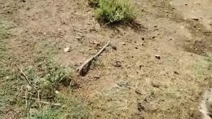 नल जल योजना सब कुछ बेकार