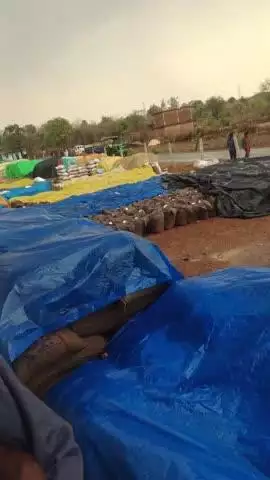 खजूरी के बेर हाउस में पानी भरने से हो गया बर्बाद