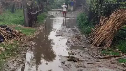 छातापुर: ग्रामीण सड़क दशकों से जर्जर, आवागमन में हो रही है परेशानी