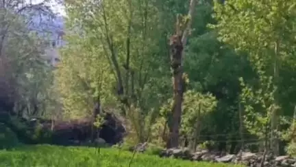 हंगरंग: किन्नौर में बारिश का दौर थमा, मौसम हुआ सुहावना, मटर की फसल सूखने से बची