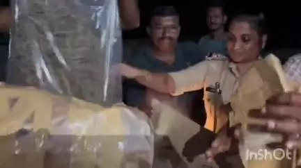 മൂവാറ്റുപുഴ: പായിപ്ര എസ്റ്റേറ്റ്പടിയിൽ വിൽപനക്കായി എത്തിച്ച 4.5 കിലോ കഞ്ചാവുമായി അസം സ്വദേശി പിടിയിൽ