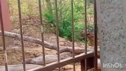 हरिहरगंज: स्कूल का गेट उखाड़ने वालों पर कार्रवाई की प्रधानाध्यापक अजय राय ने की मांग