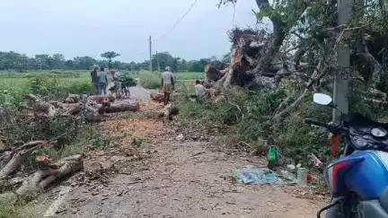 सुप्पी: मोहनी मंडल एवं बथनाहा में आंधी-तूफान से सड़क पर गिरे पेड़, मंत्री ने रास्ता खुलवाने के दिए निर्देश