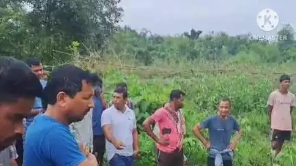 পূব যোৰহাট: টীয়কৰ জাঁজীমুখৰ চোমনি চাপৰিত এটি বন্যহস্তীৰ মৃত্যু , উপস্থিত বন বিভাগৰ লোক