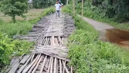 হেলেম: মৰণৰ ফান্দত পৰিণত গহপুৰৰ সোনাৰি জান নদীৰ ওপৰত থকা জৰাজীৰ্ণ কাঠৰ দলং, সমস্যাত ২ শতাধিক ৰাইজ #jansamasya
