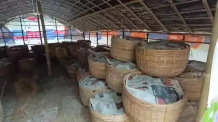 পূর্বস্থলী ২: বাইরের বেশ কিছু দেশে রপ্তানি বন্ধ আমের, বিপাকে পূর্বস্থলীর আম চাষিরা