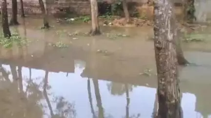কুমারগঞ্জ: মাটি ফেলে বন্ধ ড্রেন, জলে ডুবেছে নীচাবন্দর সাধারণ মানুষের খুব অভিযোগের তীর বিজেপির বিরুদ্ধে #jansamasya