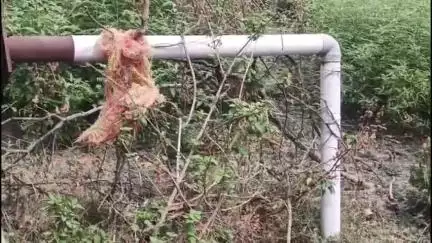 प्रतापनगर के फैज़पुर में वन विभाग द्वारा बनवाया डैम पहाड़ों की मिट्टी आने से कई वर्षों से बंद है