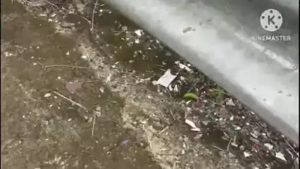 শান্তিরবাজার: জাতীয়সড়কে  অতিরিক্ত বিটুমিন প্রয়োগের ফলেবাইখোড়া  কলসীরমুখ এলাকায় প্রতিনিয়ত ঘটেযাচ্ছে দুর্ঘটনা #jansamasya