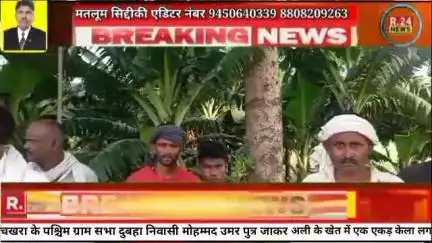 #लखीमपुर निघासन की ग्राम सभा चखरा में केले की फसल लगी हुई थी चखरा के पश्चिम ग्राम सभा दुबहा निवासी मोहम्मद उमर पुत्र जाक