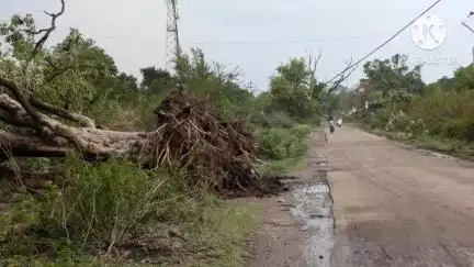 खलारी: खलारी में तेज आंधी-बारिश से पेड़ और बाउंड्रीवाल गिरी, घरों में घुसा नाले का पानी