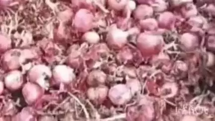 निफाड: पिंपळगाव बसवंत परिसरात वादळी वाऱ्यामुळे बाजार समिती परिसरात अतोनात नुकसान