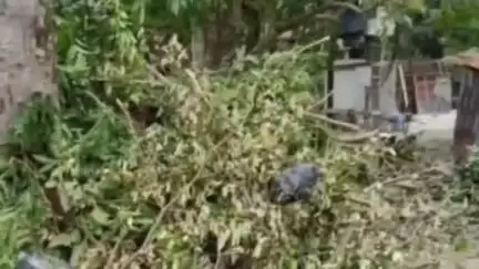 গোয়ালপোখর ১: গোয়ালপখর থানার গোয়াগাঁও এলাকায় ঝড় হওয়ায় ক্ষতিগ্রস্ত পরিবার গুলির পাশে দাঁড়ালেন জেলা পরিষদের সহকারী সভাধিপতি