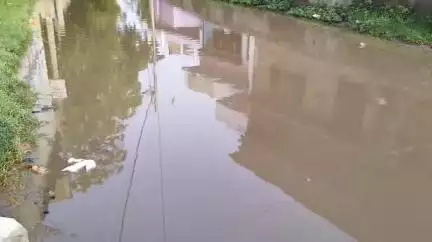 गोपालगंज: लखपतिया मोड़ से साधु चौक जाने वाली सड़क पर जल जमाव होने के कारण लोगों को हो रही परेशानी #jansamasya