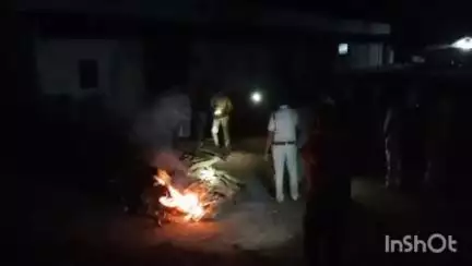 भीमपुर: सेलूढाना जंगल में मृत मिला तेंदुआ, वन विभाग ने किया अंतिम संस्कार