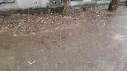 महागाव: तालुक्यातील काळी दौ. सह परिसरात अवकाळी पावसामुळे जनजीवन विस्कळीत, घरासह पिकाचे नुकसान