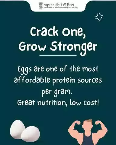 Fuel Up with Eggs!
Affordable, protein-packed, and nutrition-rich – the perfect choice for a stronger you!
#EggPower #ProteinBoost #HealthyLiving