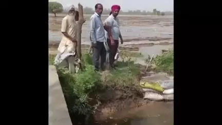ਅਬੋਹਰ: ਧਰਾਂਗਵਾਲਾ ਨੇੜੇ ਨਹਿਰ ਵਿੱਚ ਪਿਆ ਪਾੜ, ਮੌਕੇ ਤੇ ਪਹੁੰਚੇ ਕਿਸਾਨ ਤੇ ਵਿਭਾਗ
