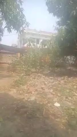 बेगूसराय जिला में लोगों को गर्मी से राहत नहीं मिल रही है लगातार कई दिनों से बारिश भी नही नही हो रही है