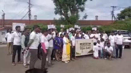 குன்னூர்: சிம்ஸ் பூங்காவில் இருந்து உலக தேயிலை தினத்தை முன்னிட்டு, குன்னூர் தேயிலை வாரியம் சார்பில் வாக்கத்தான் நிகழ்ச்சி