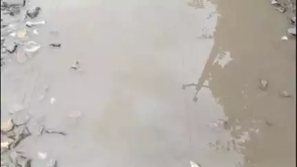 ঘগ্ৰাপাৰ ভাগ: সোণামতী-কেহেৰুৱা পথৰ ওপৰত থকা বৃহৎ-বৃহৎ গাঁতে যাতায়তৰ ক্ষেত্ৰত সমস্যাত পেলাইছে সহস্ৰাধিক ৰাইজক #jansamasya