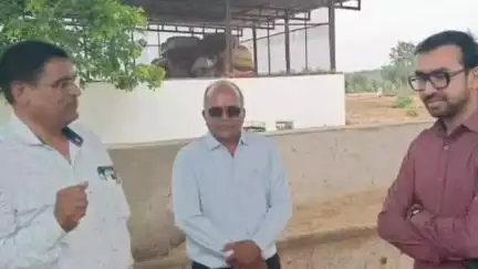 बड़ी सादड़ी: डूंगला: बड़ी सादड़ी के उपखंड अधिकारी ने हुरा बा गौशाला का किया निरीक्षण, देखी व्यवस्थाएं