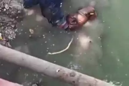 आलापुर: रफीगंज में शराब के नशे में धुत व्यक्ति ने शारदा सहायक नहर में कूदकर घंटों बनाया तमाशा, वीडियो हुआ वायरल