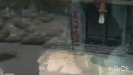 नागभिर: तळोधी नागभीड मार्गावरील चिंधी चक गावाजवळ सिमेंटने भरलेला ट्रक पलटी झाल्याने वाहतूक काही वेळ होती ठप्प