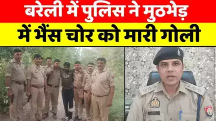 #Bareilly समेत पीलीभीत, रामपुर से चोरी की सवा सौ भैंसे | #Bareilly #Police | #Encounter | #UPNews