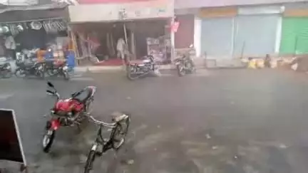 बिरसिंहपुर: तेज आंधी-बारिश का कहर: बिरसिंहपुर वार्ड 1 में पेड़ गिरा, घरों की छतें उड़ीं