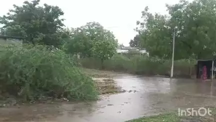 పల్నాడు జిల్లా వ్యాప్తంగా దంచి కొడుతున్న భారీ వర్షాలు