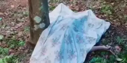 പുനലൂർ: കുതിരച്ചിറയിൽ കാണാതായ ആളുടെ മൃതദേഹം വീടിന് സമീപത്തെ റബർ പുരയിടത്തിൽ, ദുരൂഹത ആരോപിച്ച് ബന്ധുക്കൾ