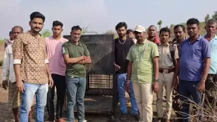आनंदपुरी: थापड़ा के समीप मादा पैंथर नजर आई, वन विभाग ने रखवाया पिंजरा और ग्रामीणों को किया सतर्क